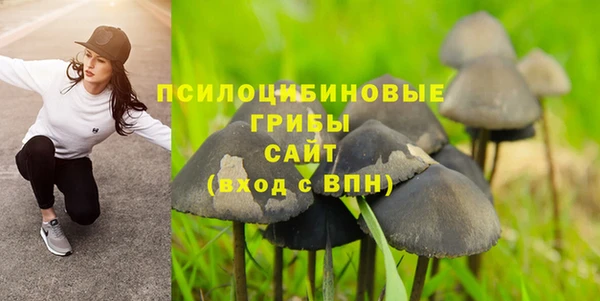 соль курить ск Бородино